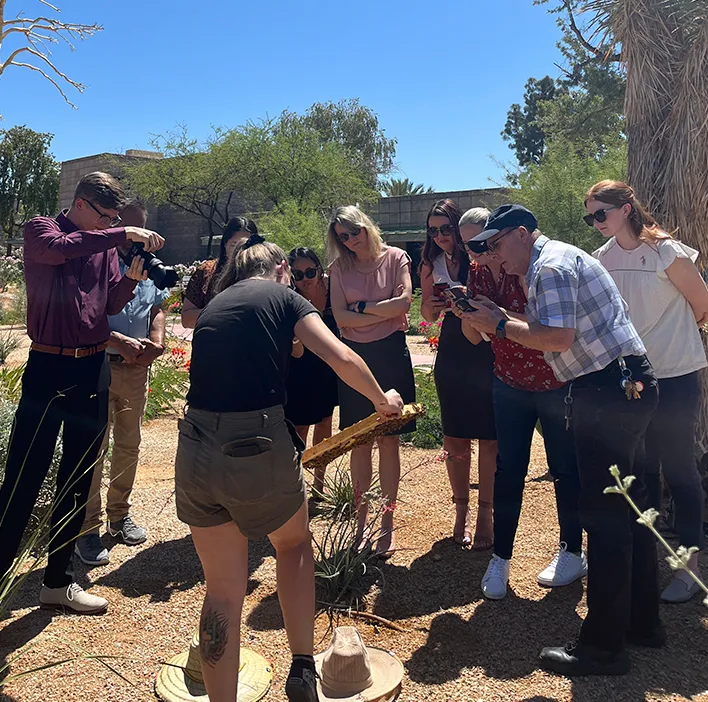 Group of people gathered outdoors in a desert garden around a beekeeper during an Alvéole Meet Your Bees workshop