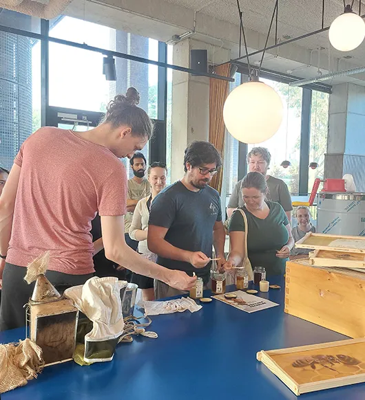 Participants at an indoor honey harvesting workshop examining beeswax and honey products on a blue table, Greystar beekeeping event