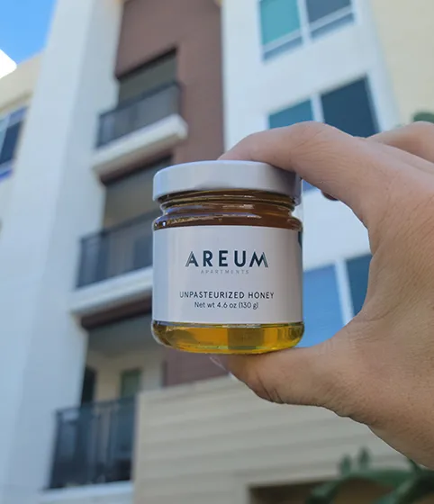 A hand holding an Areum Apartments branded unpasteurized honey jar in front of a modern apartment building exterior