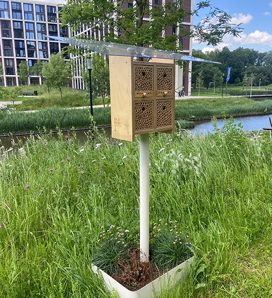 Alvéole BeeHome wild bee habitat mounted on a post in a garden beside an office building, Greystar beekeeping program
