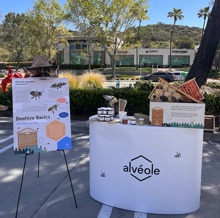 Alvéole outdoor information kiosk with Beehive Basics educational poster, honey jars, and BeeHome display in a suburban parking lot