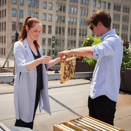 Property manager and beekeeper exchanging a honeycomb frame on a sunny rooftop terrace in the city