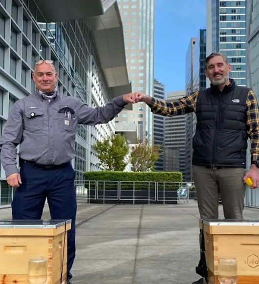 Two Alvéole beekeepers fist-bumping next to beehives on a rooftop terrace, Nuveen property partnership