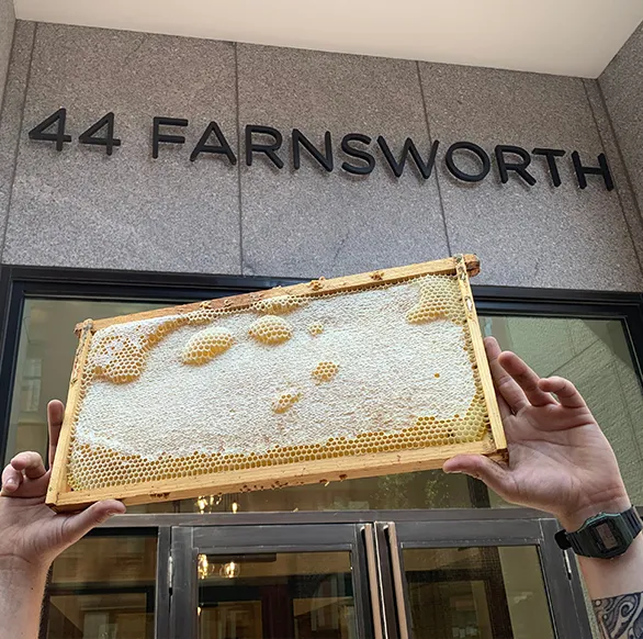 Person holding a capped honeycomb frame in front of a building entrance sign reading 44 Farnsworth, Nuveen property