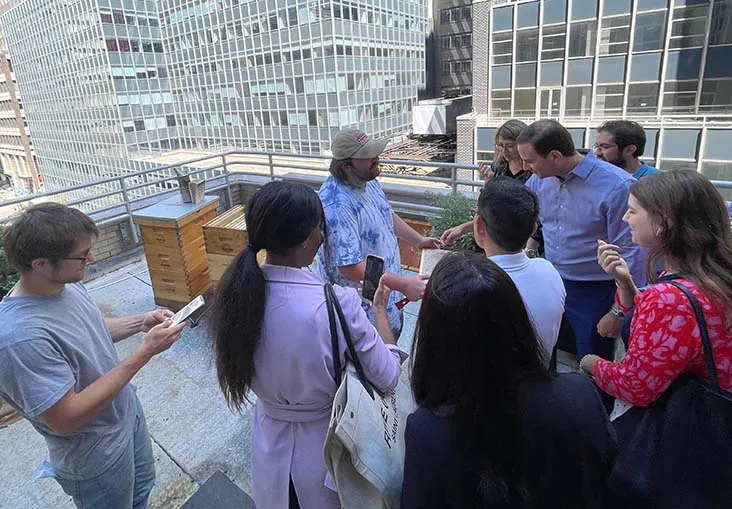 Employees and Alvéole beekeeper gathered on a rooftop around beehives for a hive inspection tour, Nuveen Washington