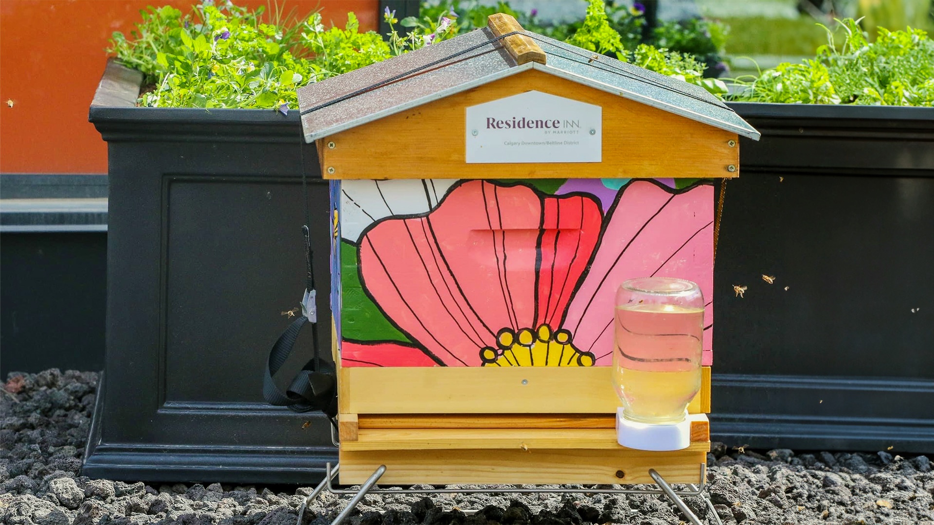 A Residence Inn branded beehive painted with a colorful floral design in an urban garden