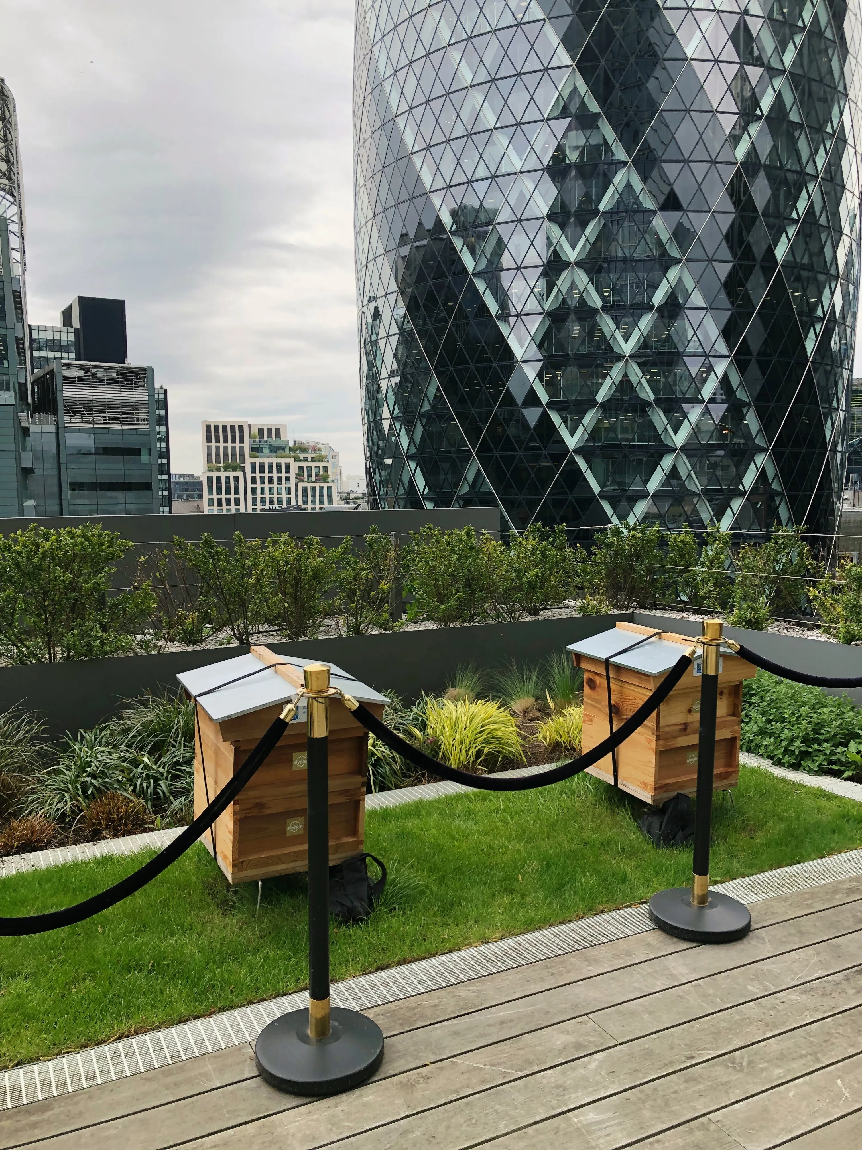 Two Alveole beehives on a rooftop terrace in London with the Gherkin skyscraper in the background