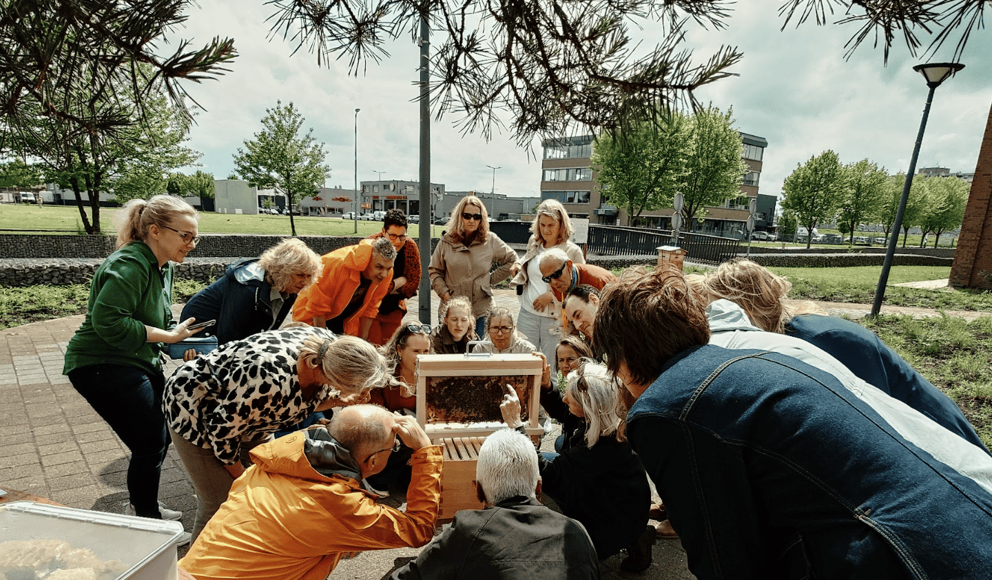 A large crowd of people gathered around a beehive for an outdoor beekeeping workshop in the Netherlands