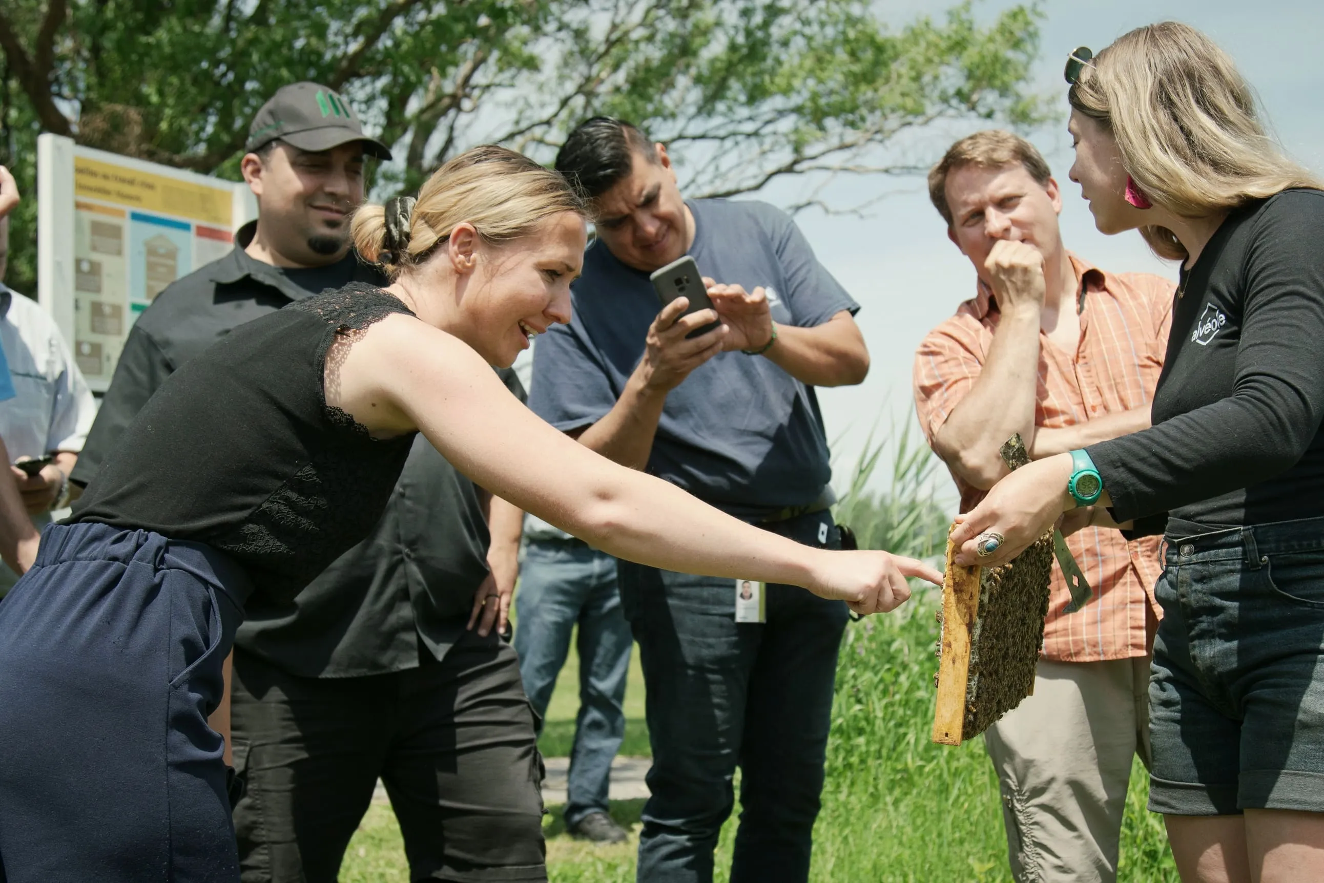 A group of people laughing and engaging with a honeycomb frame during an outdoor Alveole beekeeping workshop