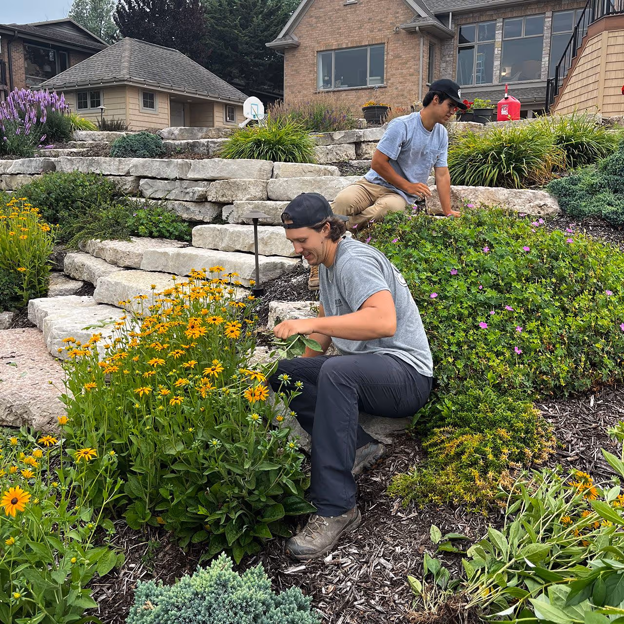 Landscaping team completing lawn maintenance for homes and businesses