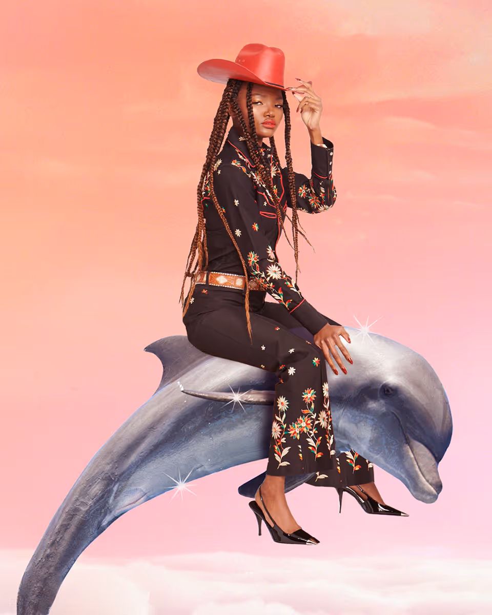 Artistic collage of a cowgirl in a red cowboy hat riding a dolphin through a pink sky.
