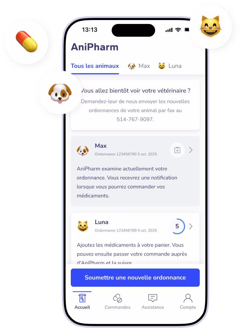 Capture d'écran de l'application AniPharm montrant la section des ordonnances pour deux animaux, Max le chien et Luna le chat, avec des options pour soumettre une nouvelle ordonnance et naviguer entre Accueil, Commandes, Assistance et Compte.