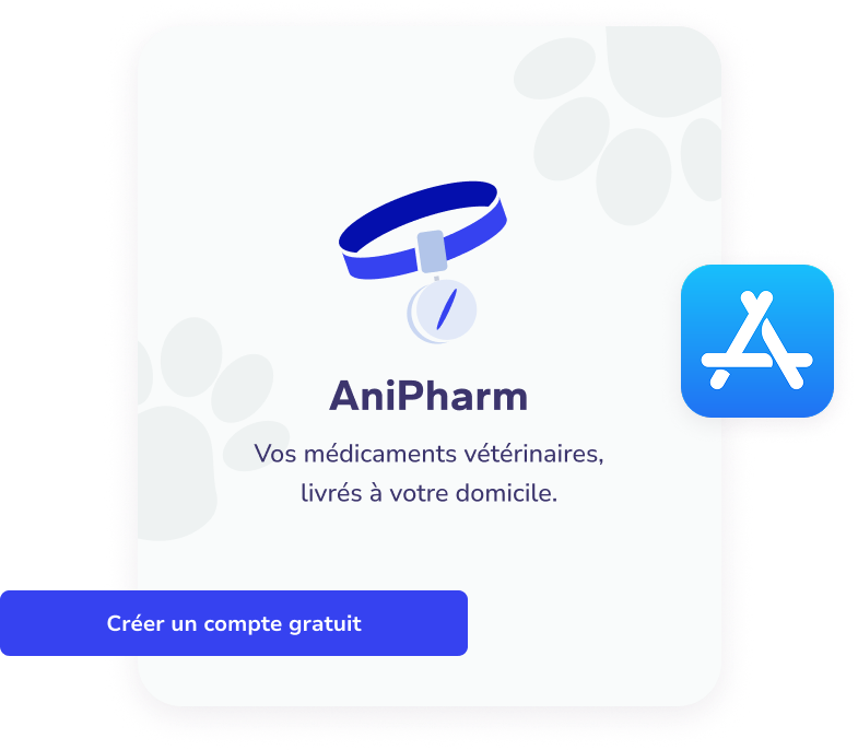 Carte promotionnelle pour AniPharm avec une illustration de collier bleu pour animal et texte en français indiquant la livraison à domicile de médicaments vétérinaires, bouton Créer un compte gratuit.