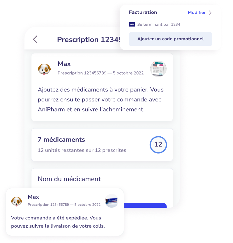 Capture d'écran d'une application pour ajouter des médicaments à une commande pour Max, avec détails de la prescription, nombre de médicaments restants, option de facturation par carte Visa se terminant par 1234, et message confirmant l'expédition de la commande.