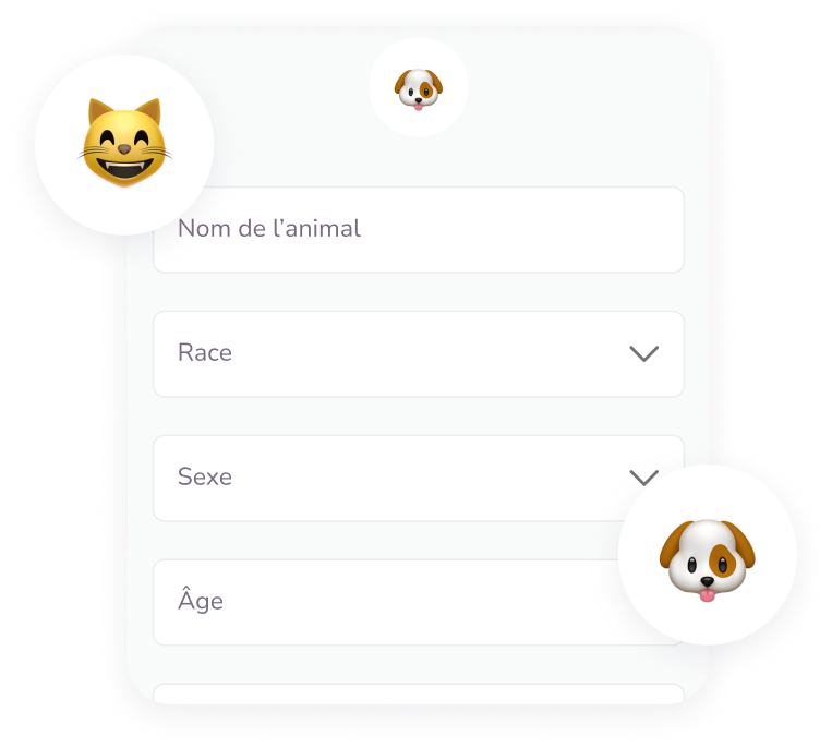 Formulaire en français pour ajouter un animal avec des champs pour nom, race, sexe et âge, décoré par des emojis de chat et de chien.