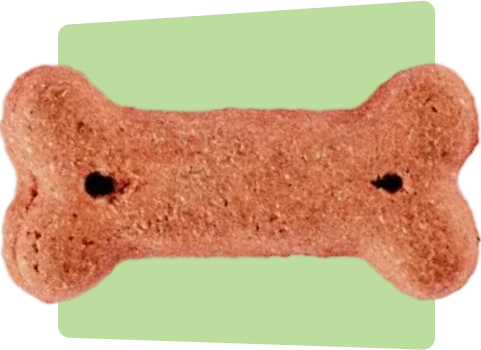 dog treat with green box