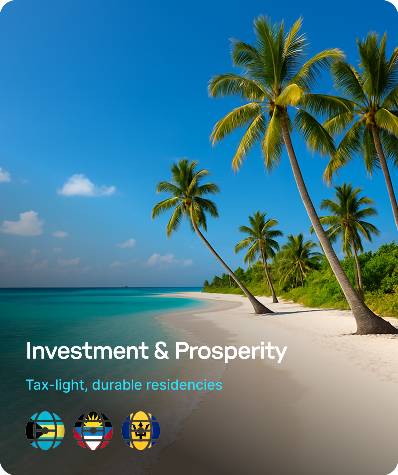 Tropical beach with clear blue sky, turquoise water, white sand, and palm trees leaning toward the shore, with text about investment and residencies.