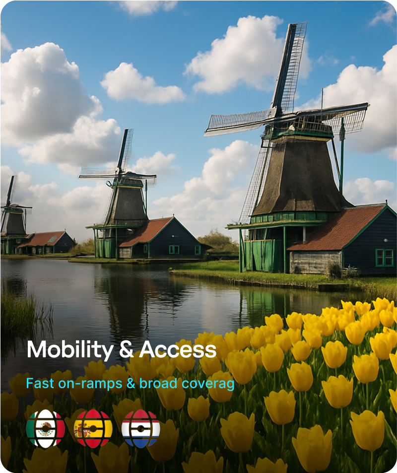 Traditional Dutch windmills beside a canal under a blue sky with clouds and a field of yellow tulips in the foreground.