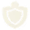 Shield icon representing protection or security.