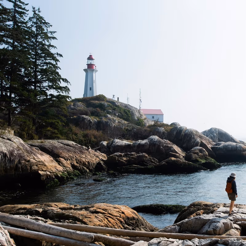 Person standing on rocky shore looking toward a white lighthouse with a red top on a hill surrounded by trees and water.