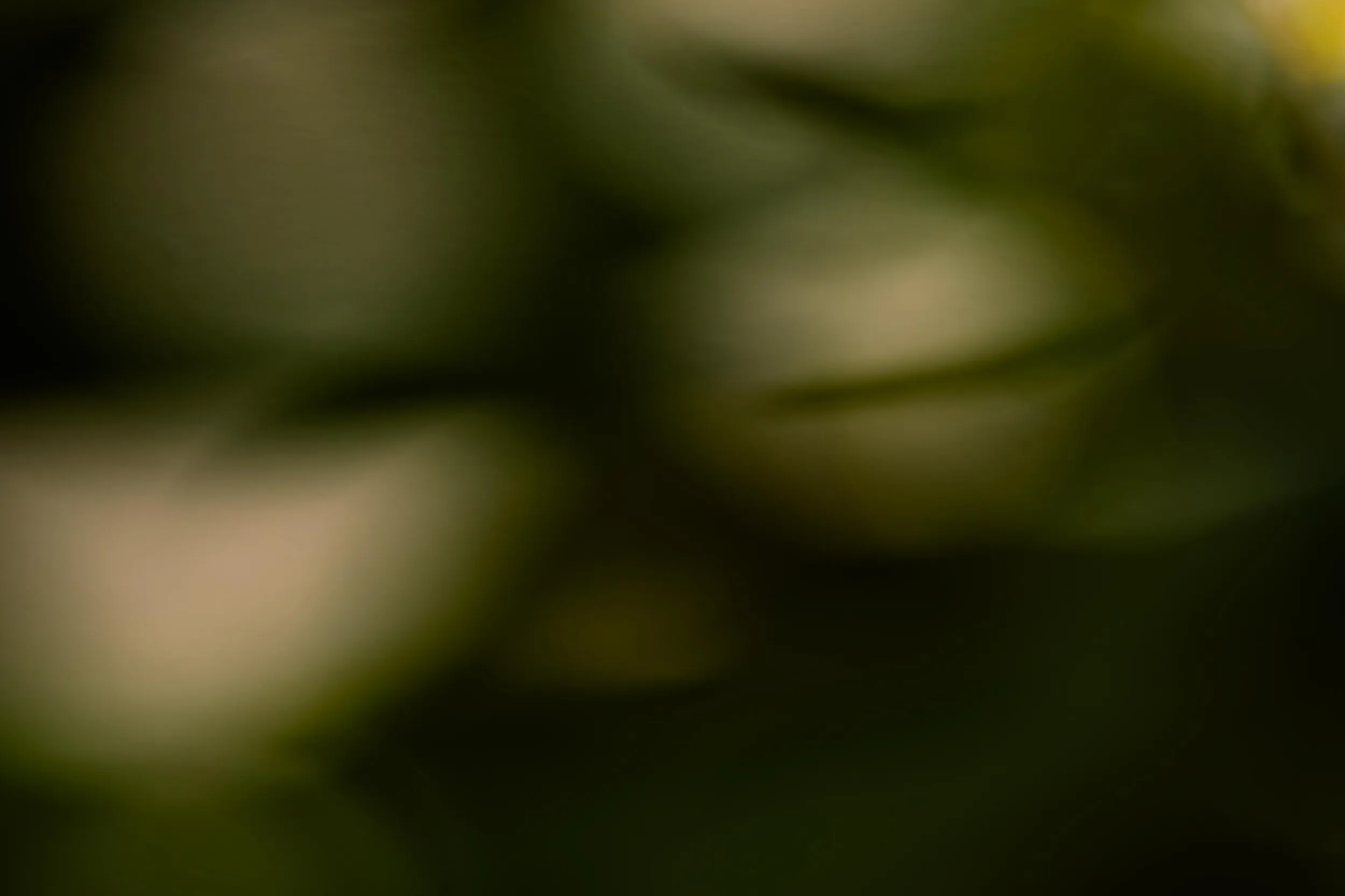 Abstract dark background with soft green and yellow blurred light spots.