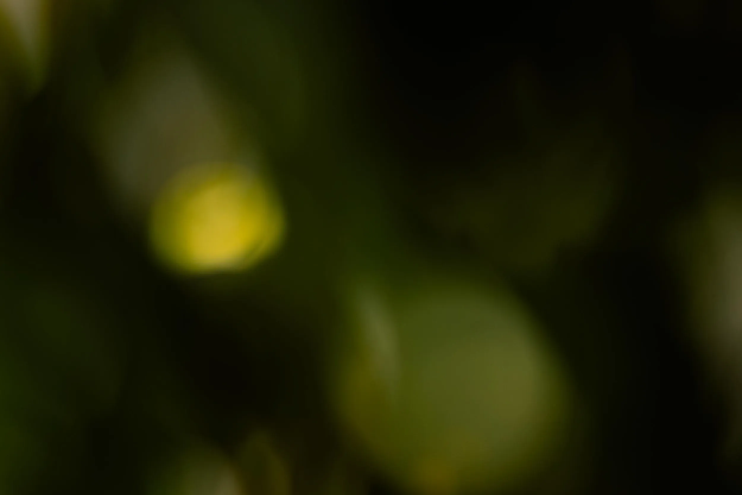 Abstract dark background with soft green and yellow blurred light spots.