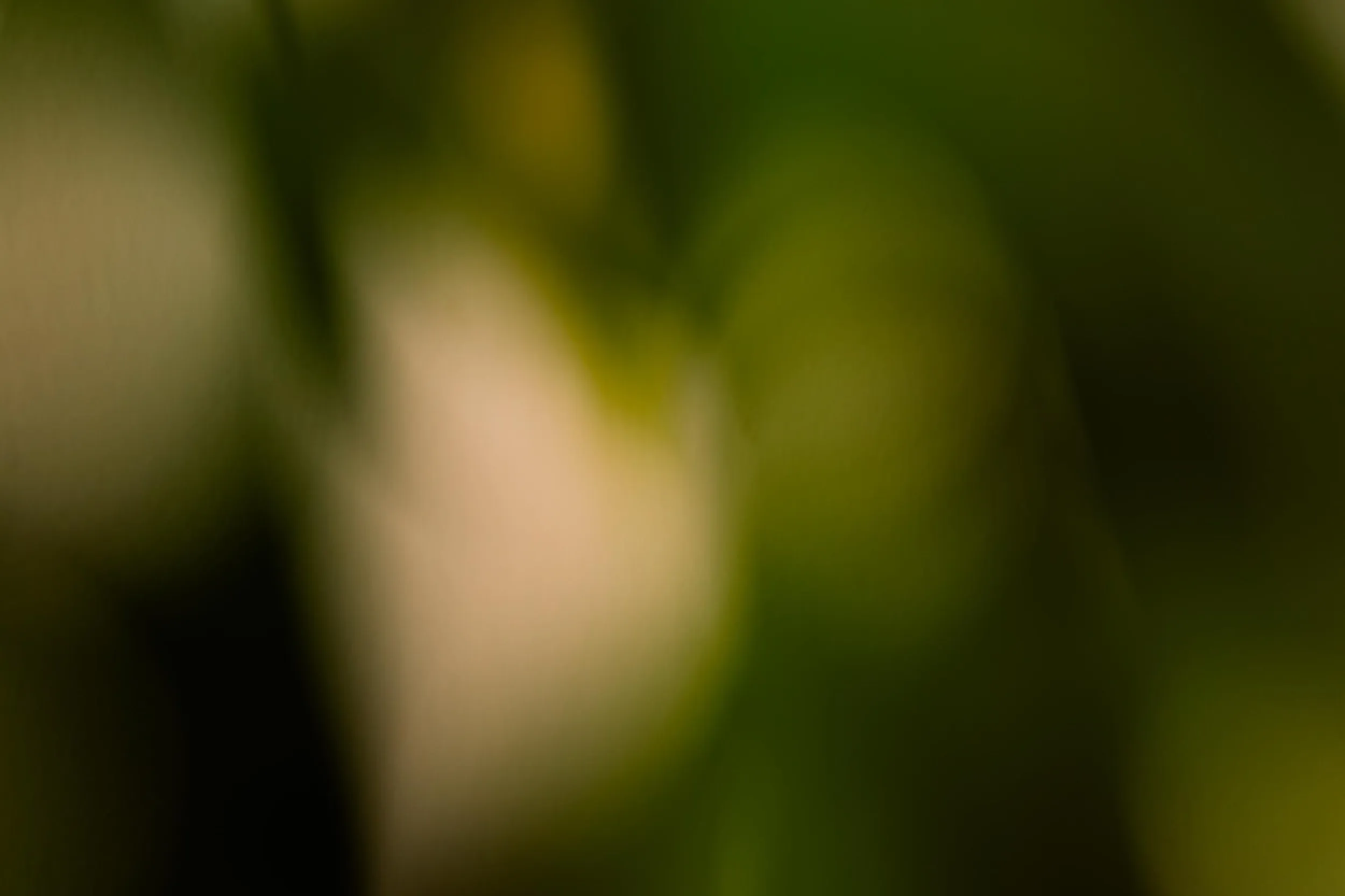 Abstract dark background with soft green and yellow blurred light spots.