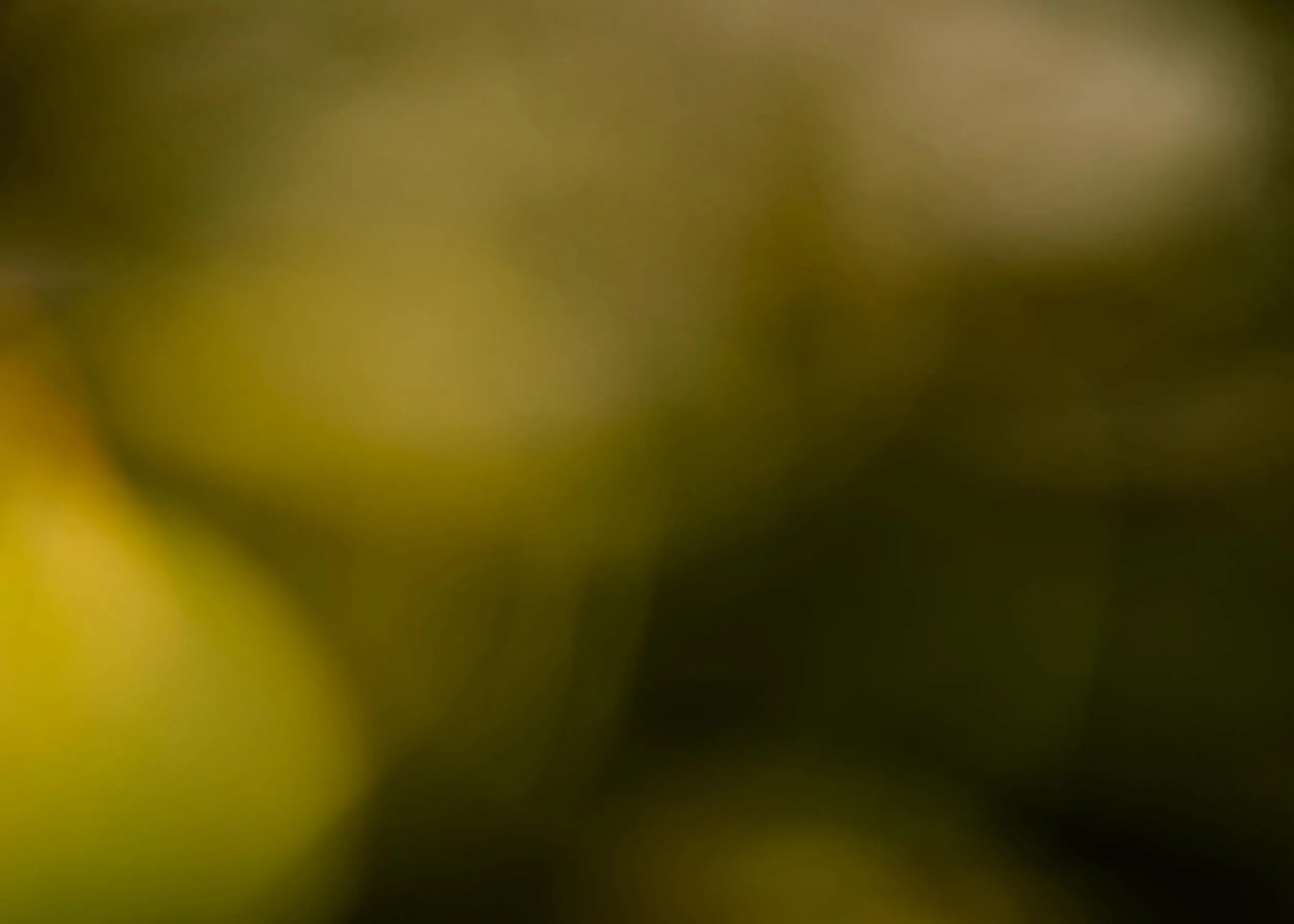 Abstract dark background with soft green and yellow blurred light spots.