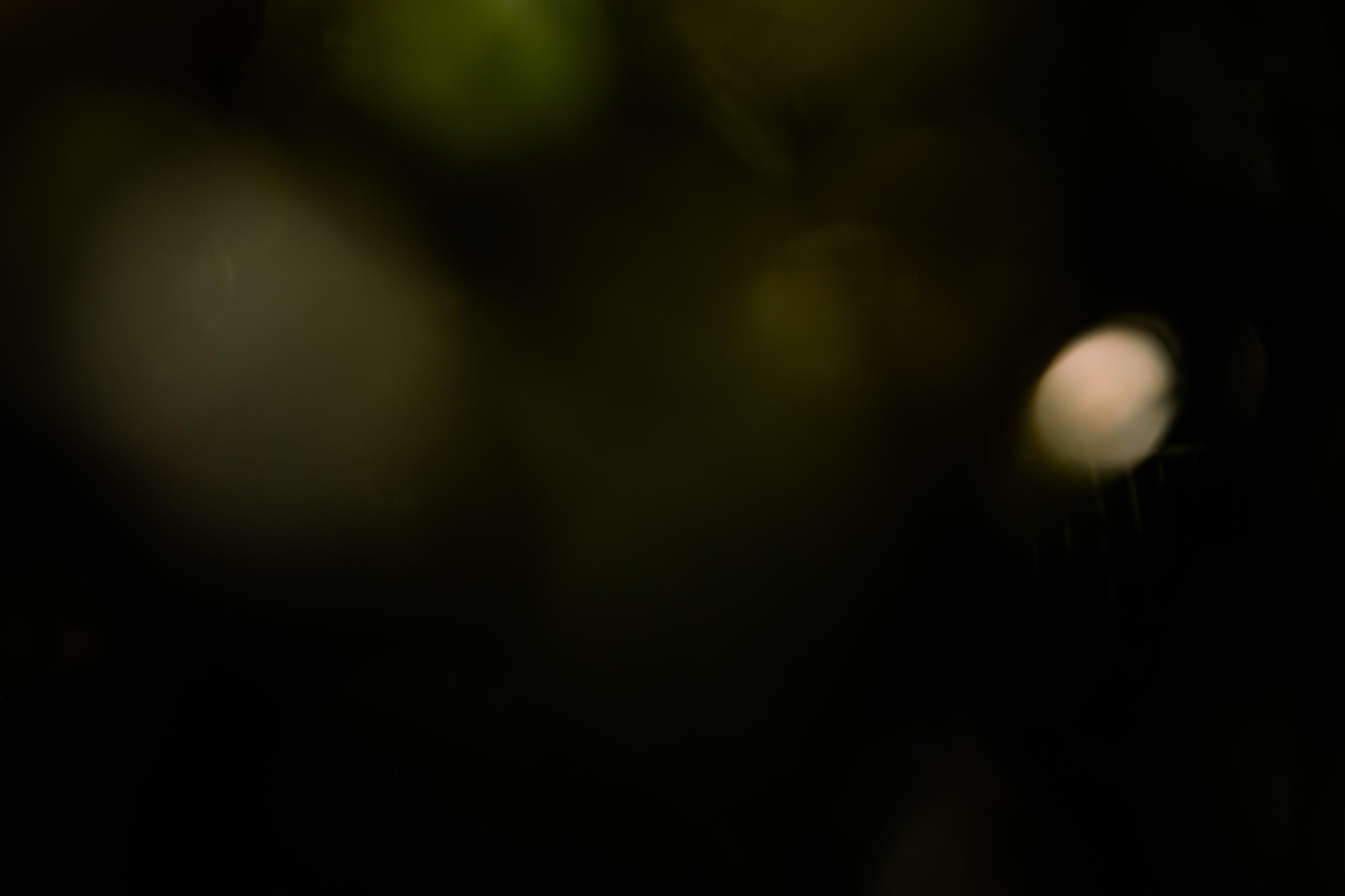 Abstract dark background with soft green and yellow blurred light spots.