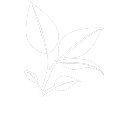 Inner Hero Element One