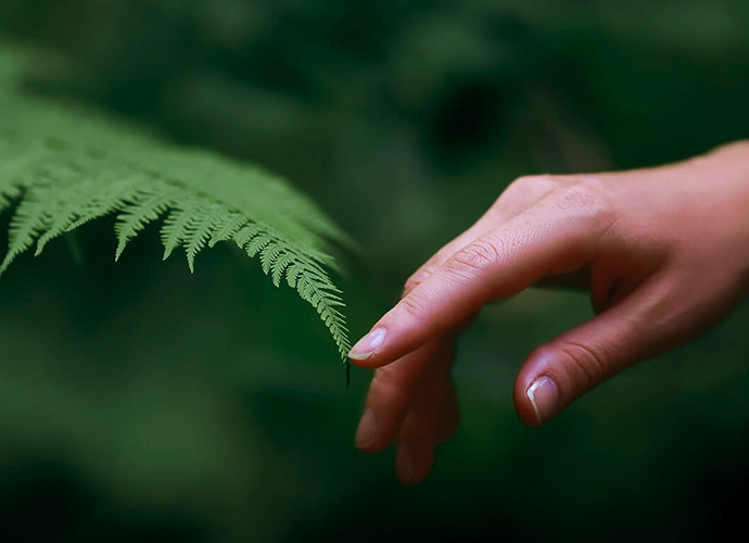 Service Details Image