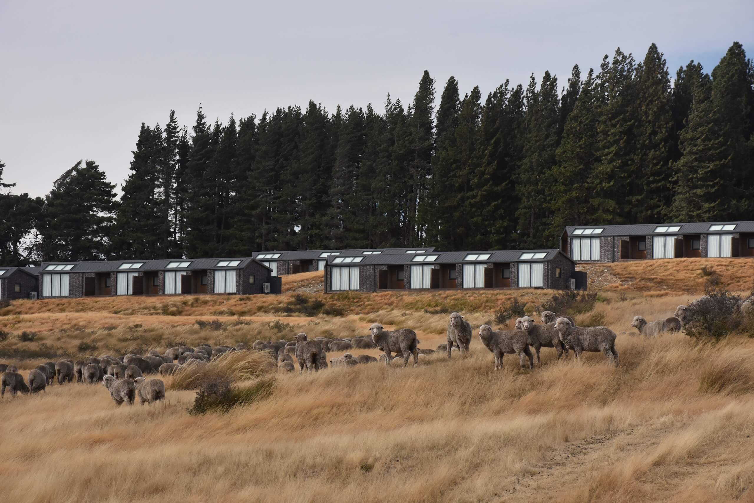 Blending with the Land