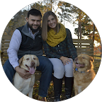 Man and woman sitting on a bench outside with two golden retriever dogs.