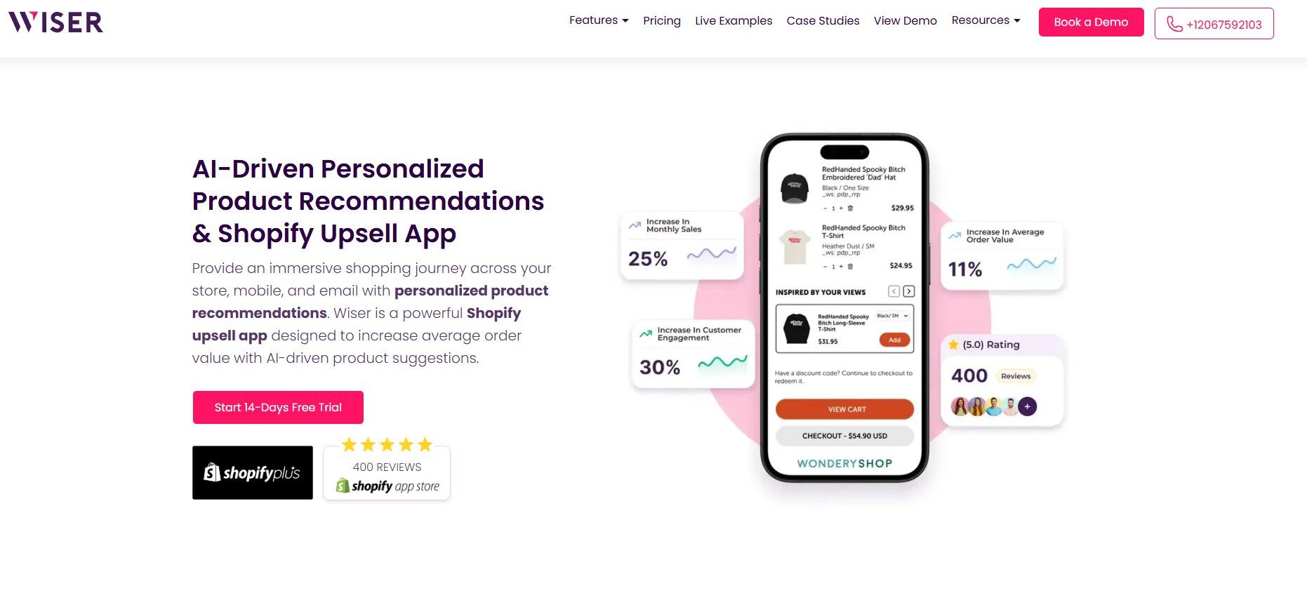 Screenshot of Wiser AI