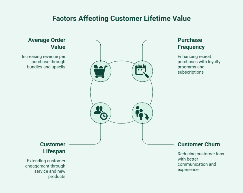 Infographic showing the factors that affect customer lifetime value calculations, including average order value, purchase frequency, customer lifespan, and customer churn rate.