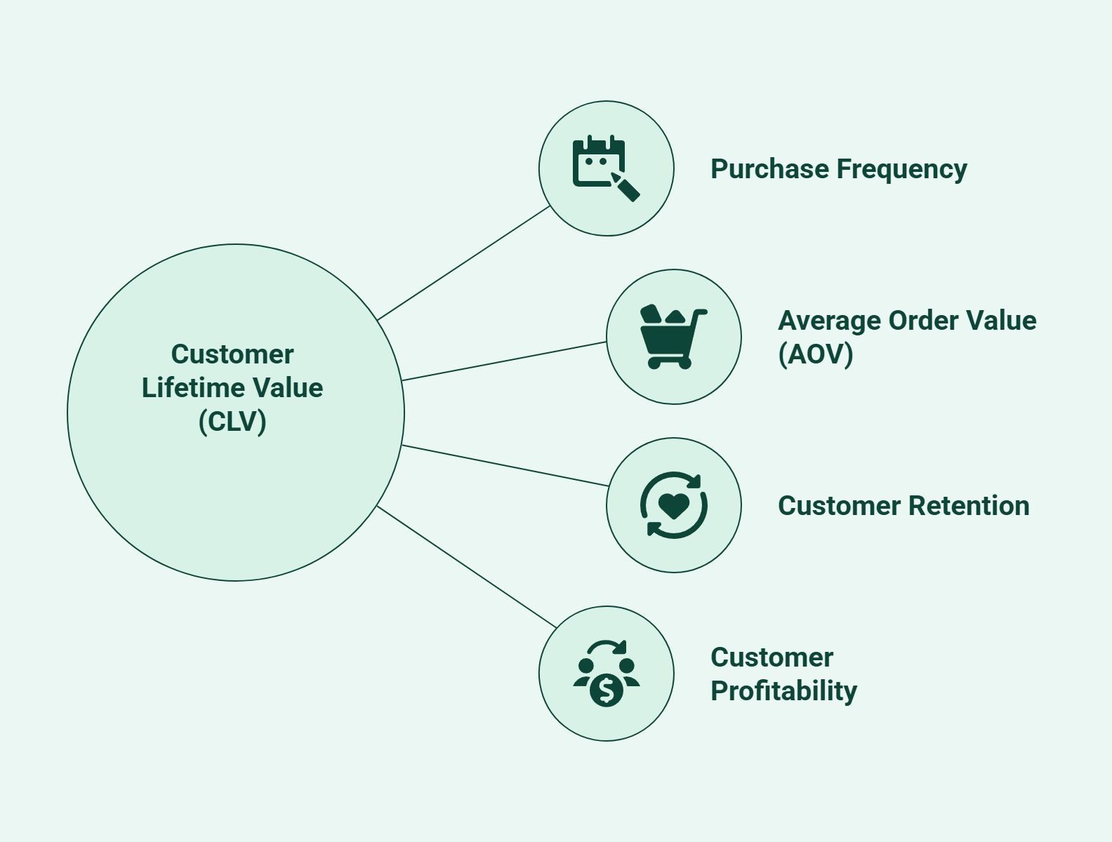 Infographic showing factors that drive customer lifetime value.