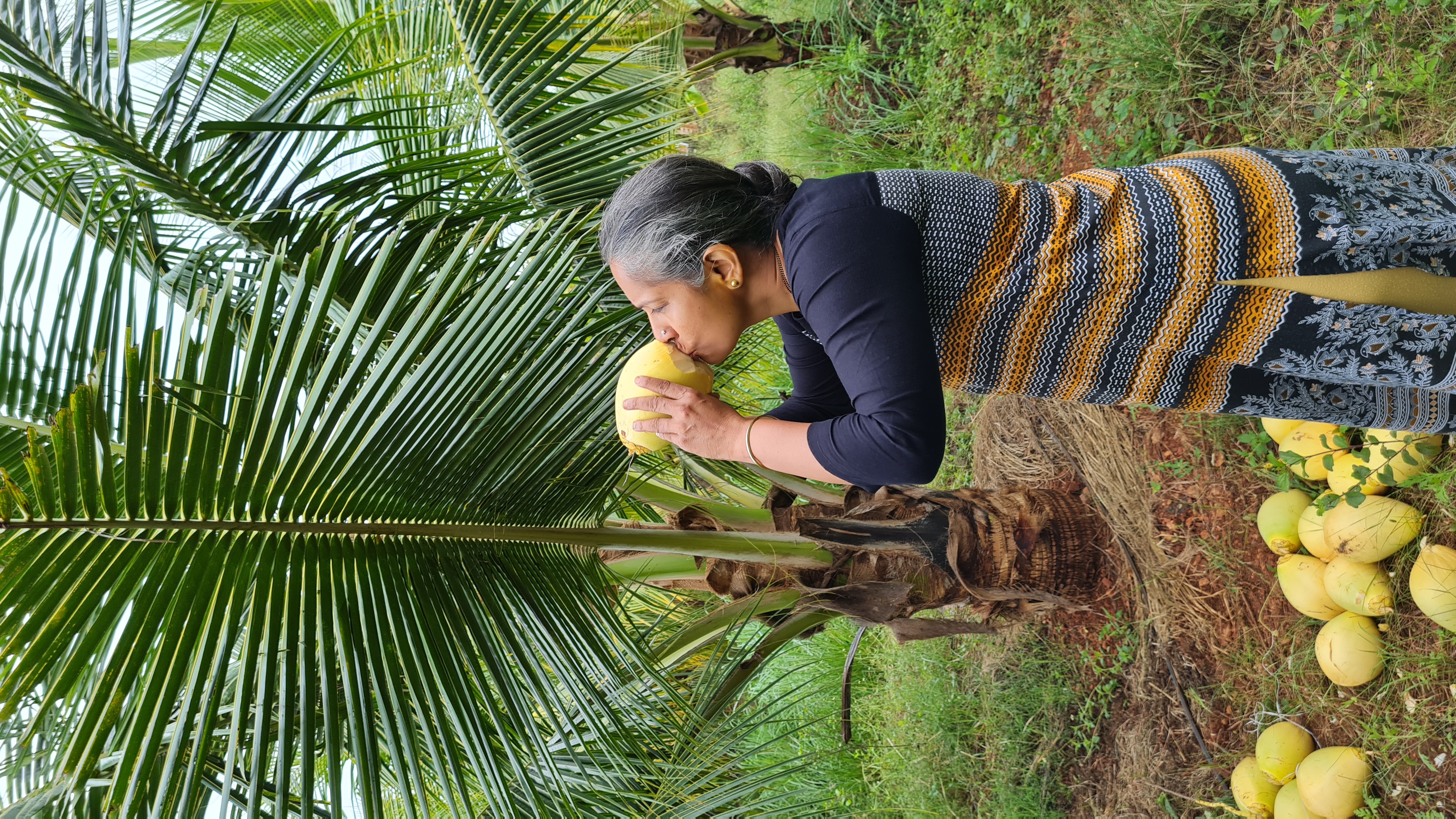 Krupa Coconut