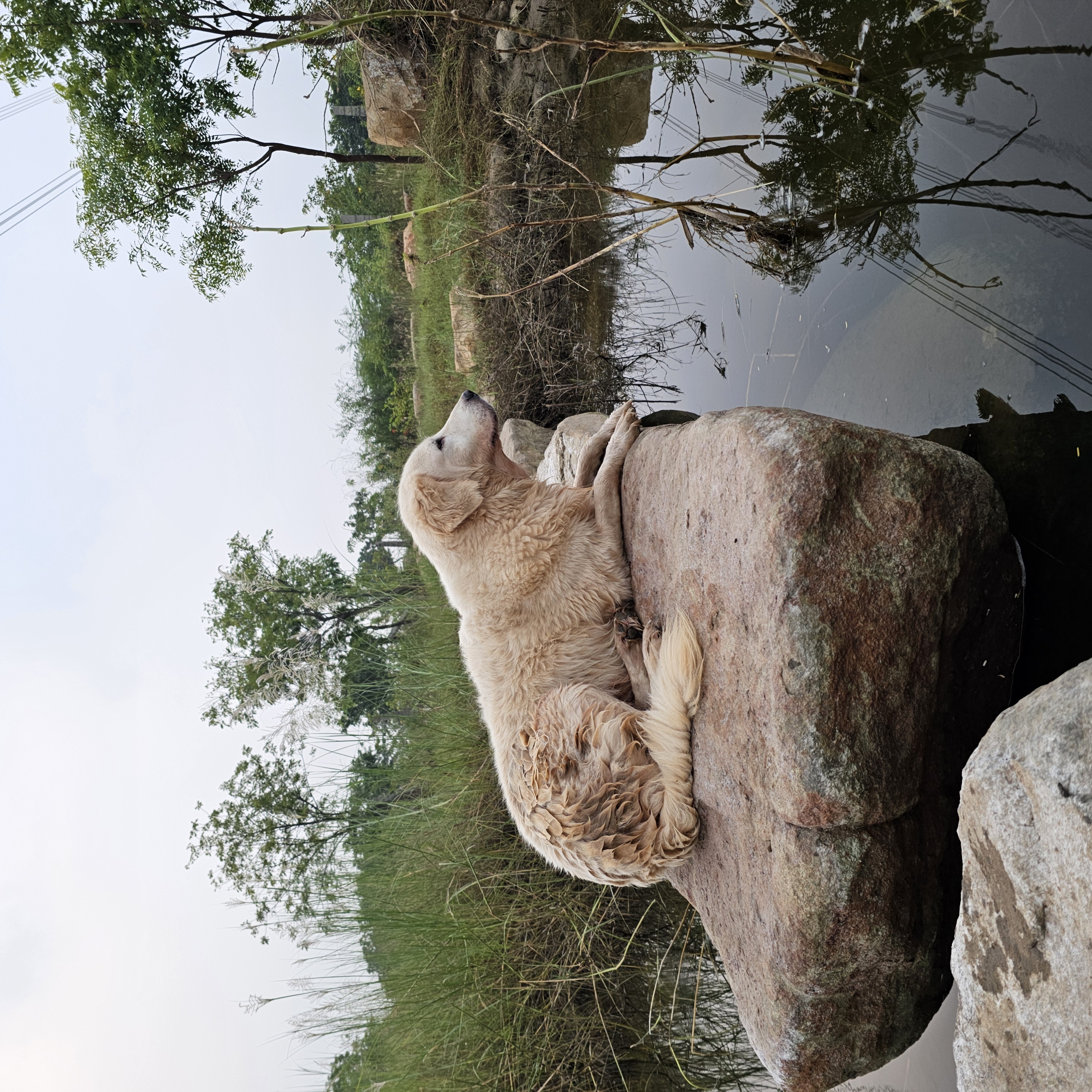 Anantgram gallery photo