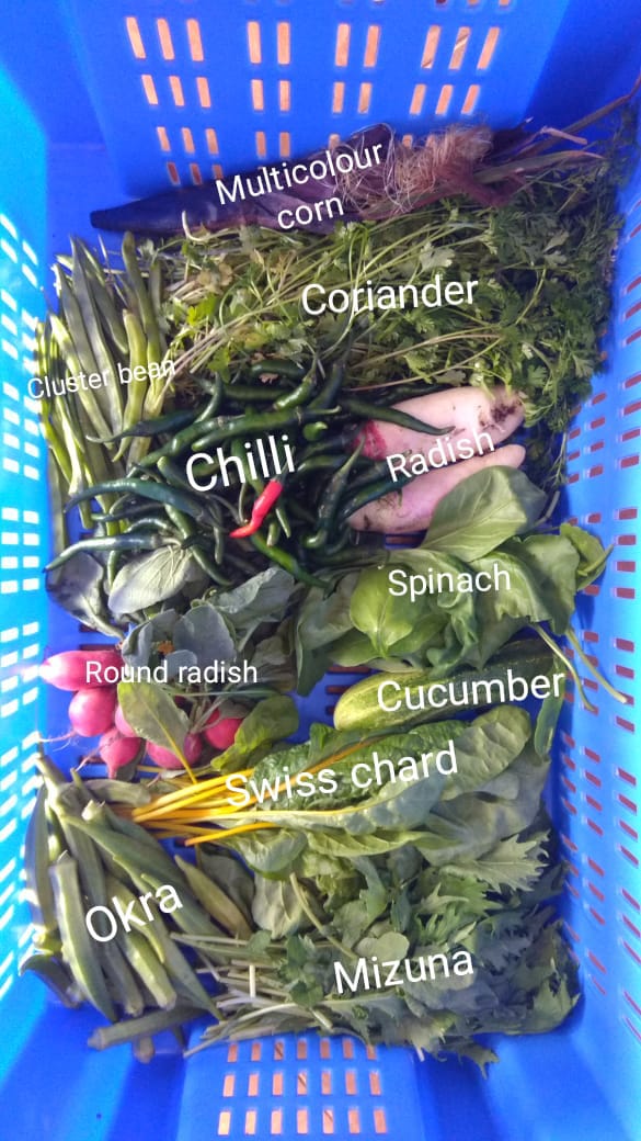 Anantgram food basket