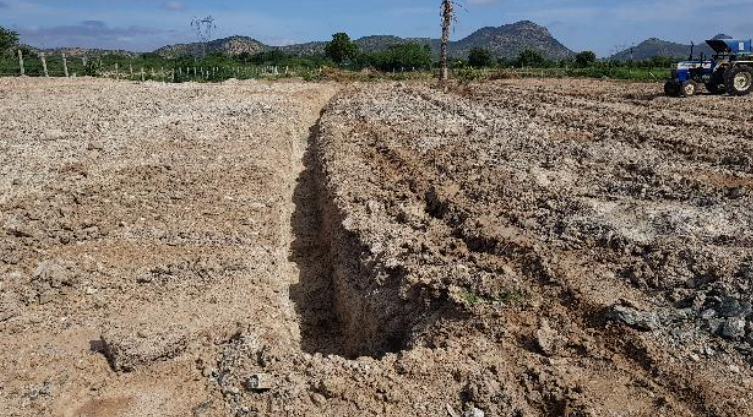 Anantgram food system