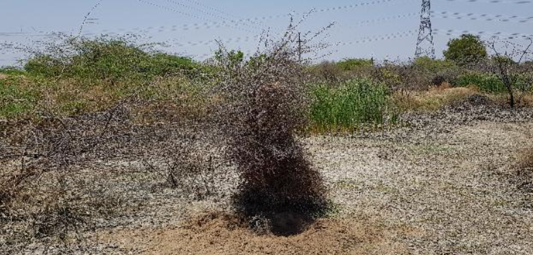 Anantgram landscape