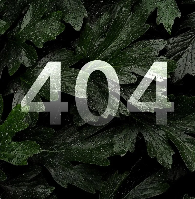 property management 404