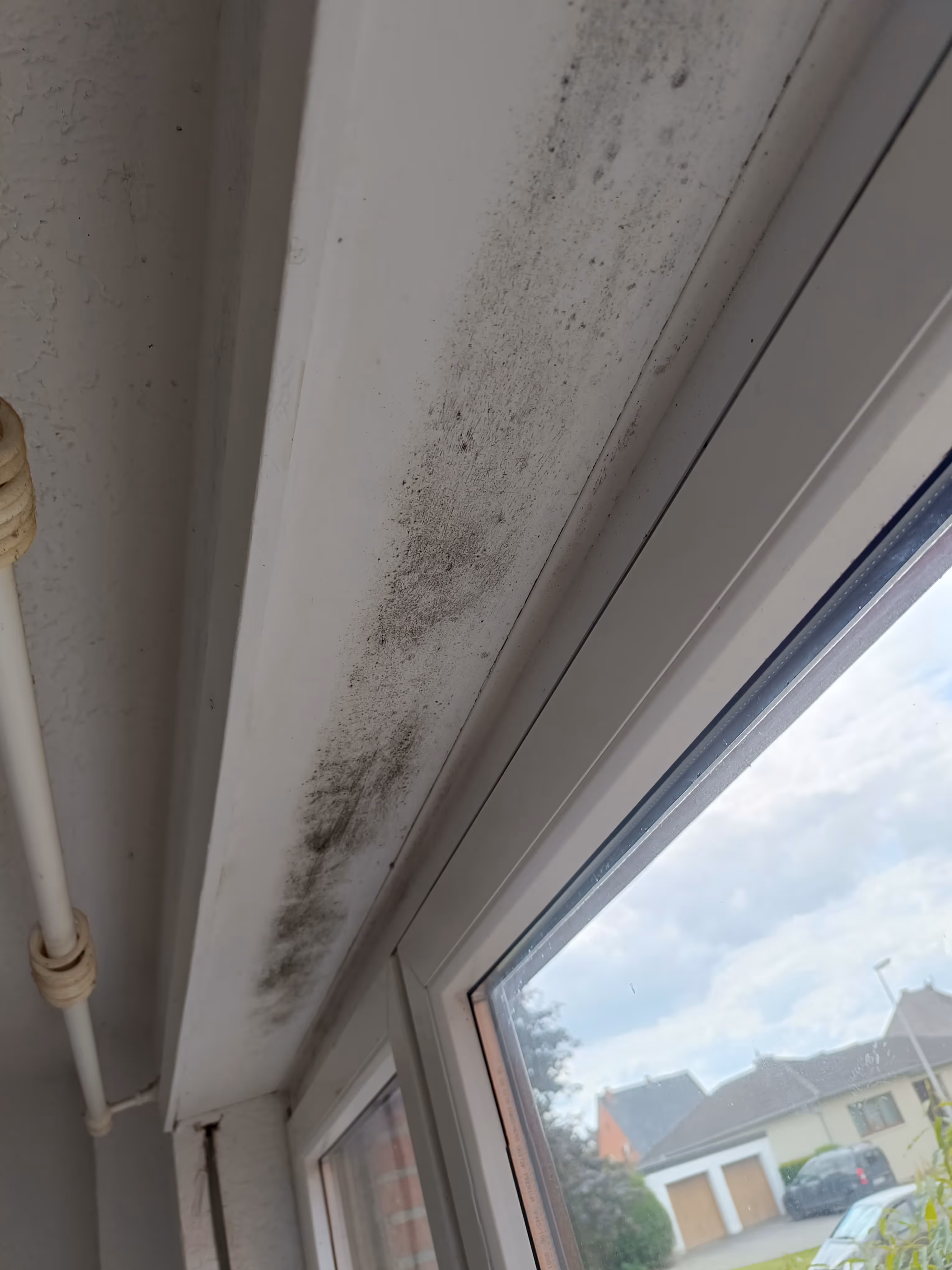 Schimmelschaden an Wand durch Feuchtigkeit – Praxisfall