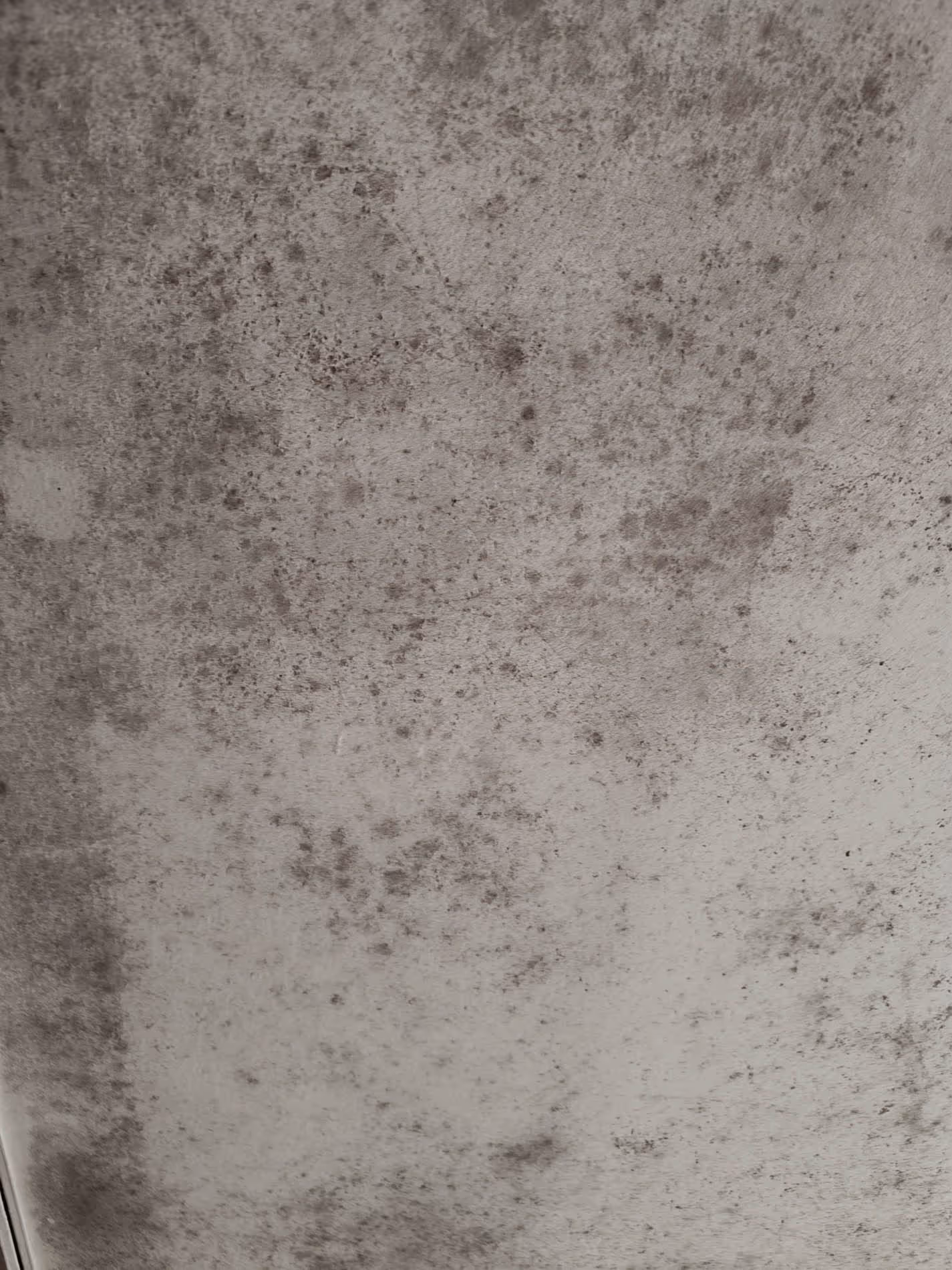 Schimmelbefall an Wohnraumwand vor der Beseitigung