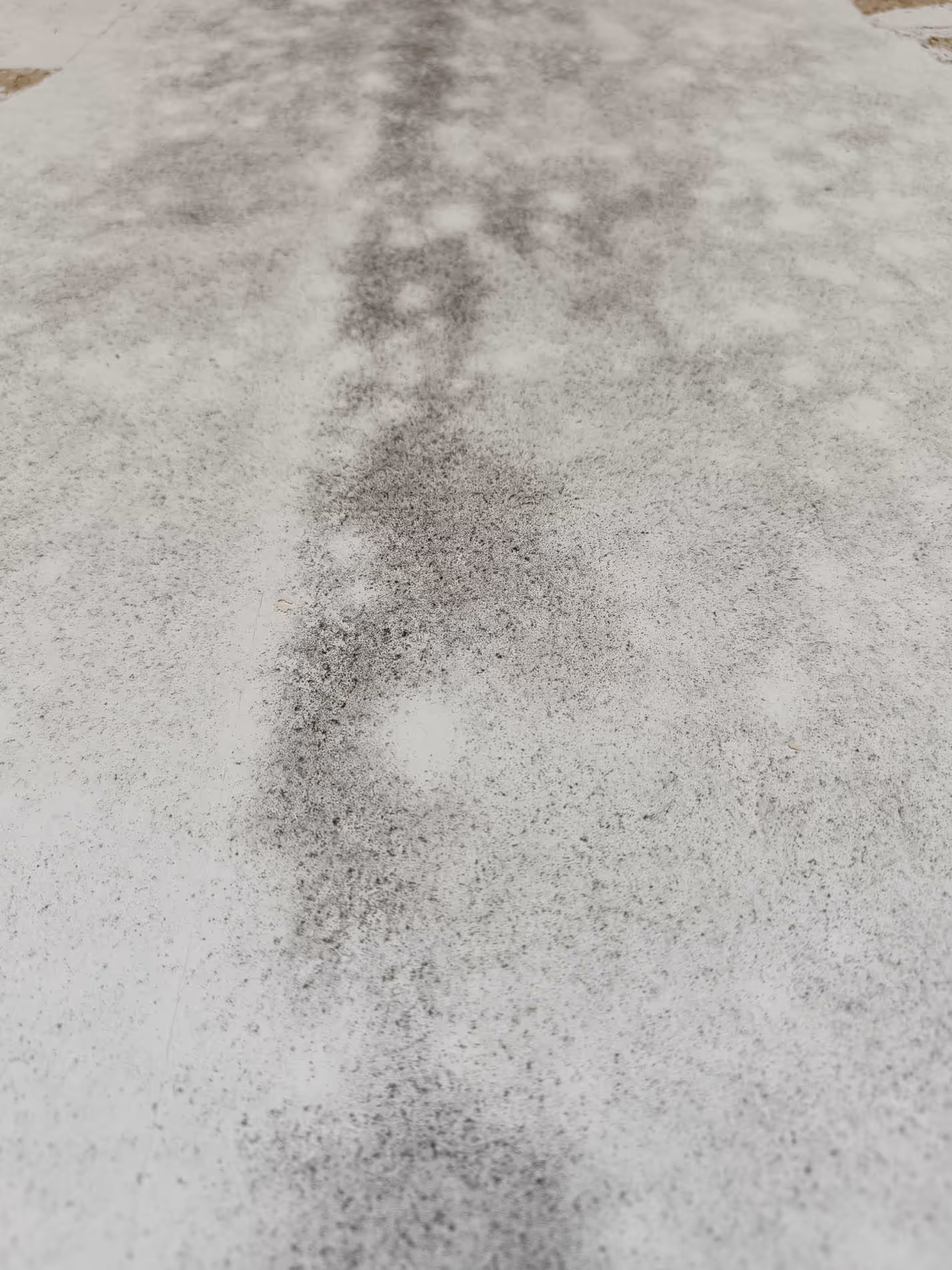 Typische Schimmelschäden Mönchengladbach