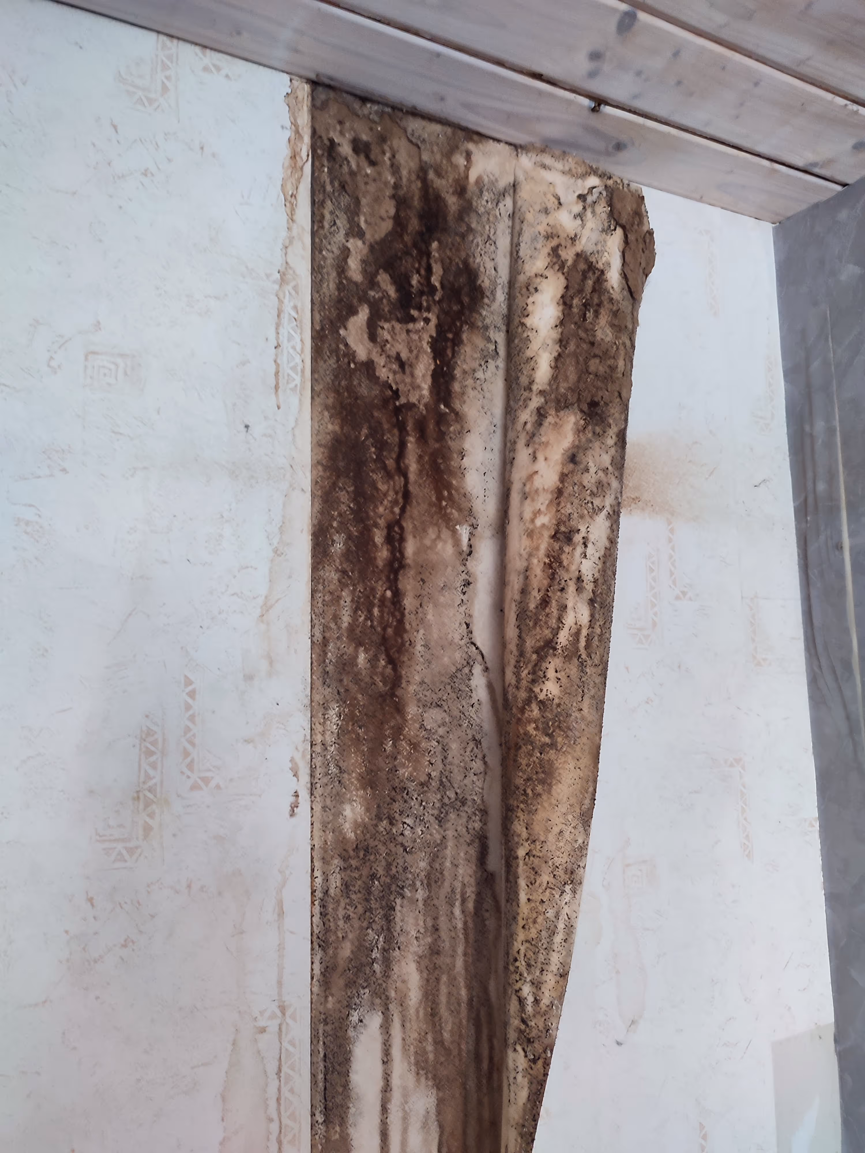 Feuchte Wand mit schwarzem Schimmel – Sanierungsfall in Mönchengladbach