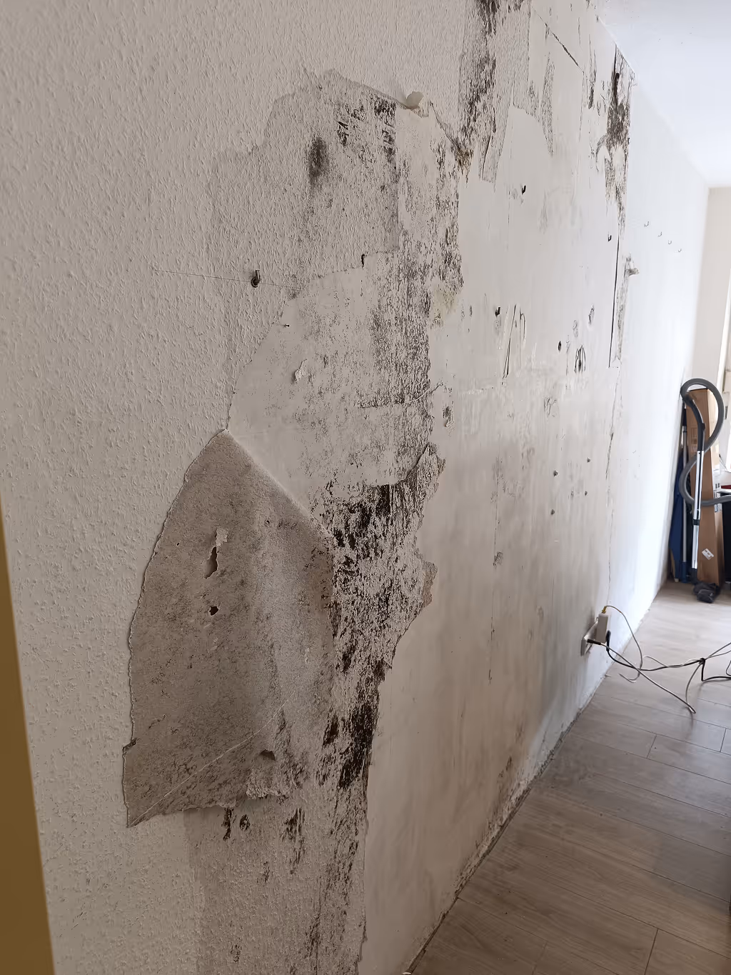 Einsatz moderner Messtechnik zur Schadensursachenermittlung