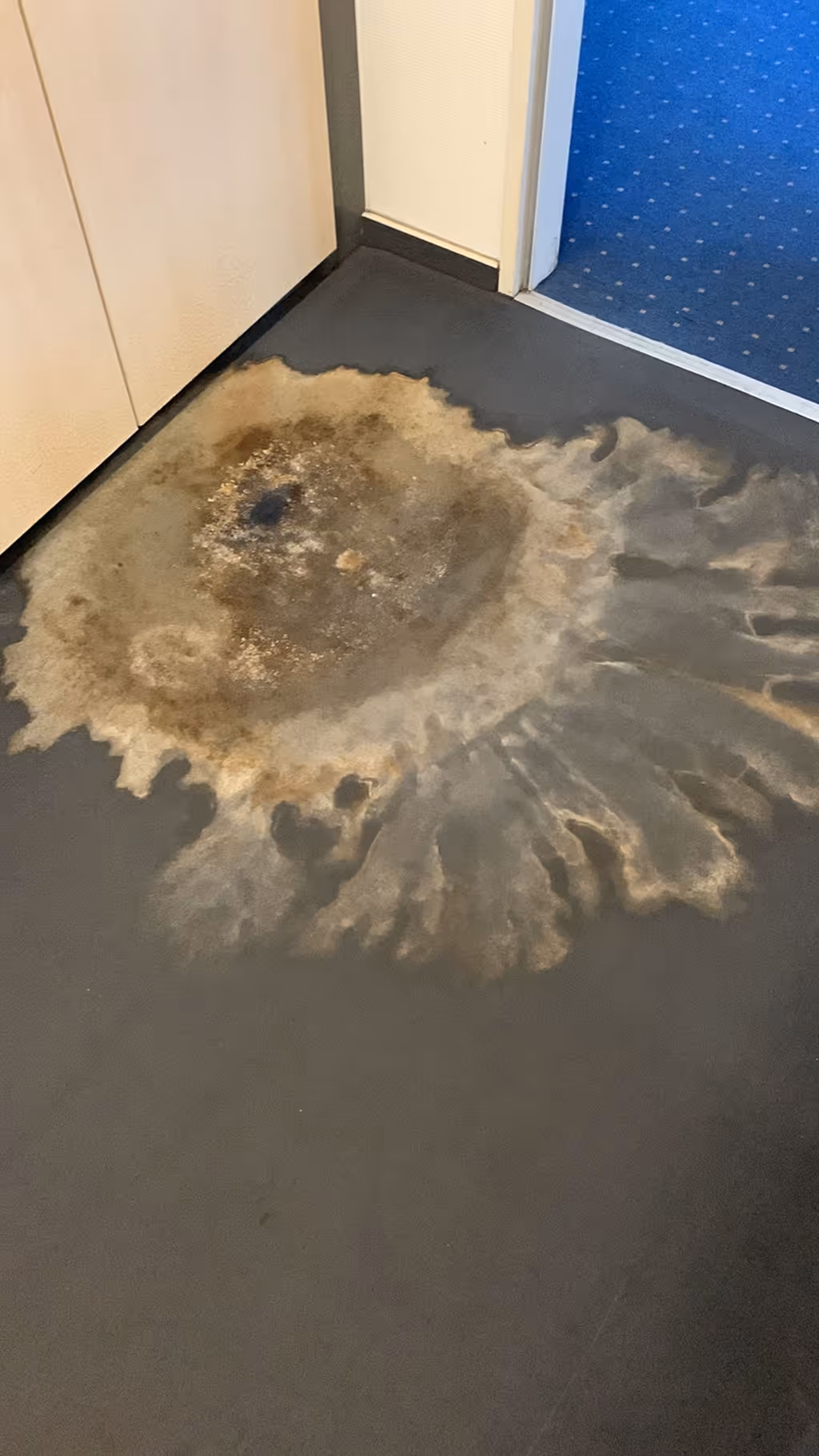 Prüfung von Bauteilen auf verdeckte Feuchteeinwirkung