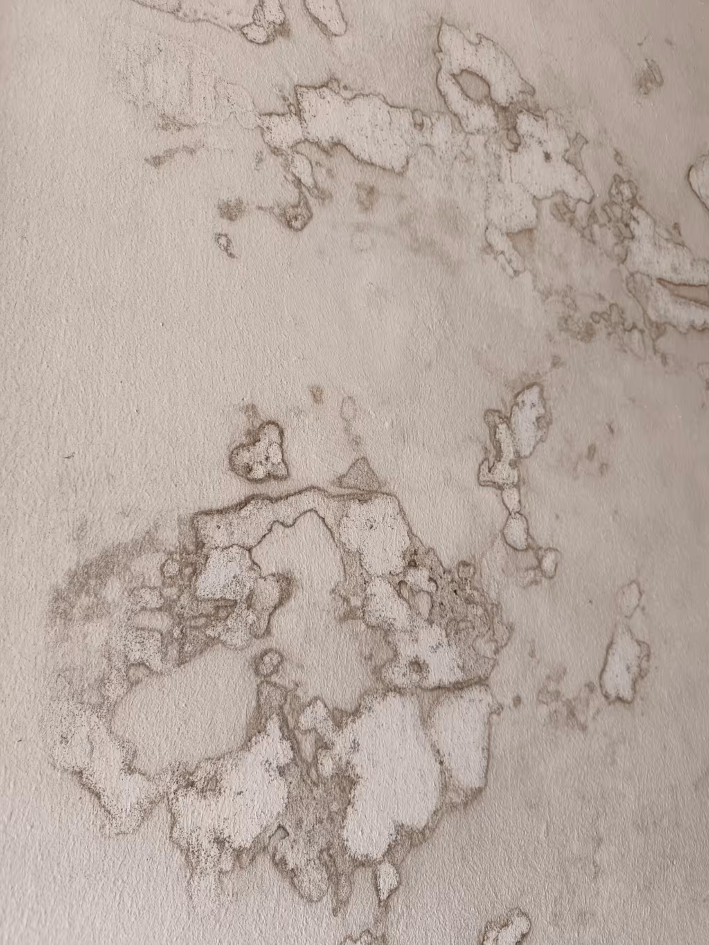 Fachliche Untersuchung von Schimmel- und Feuchteschäden vor Ort