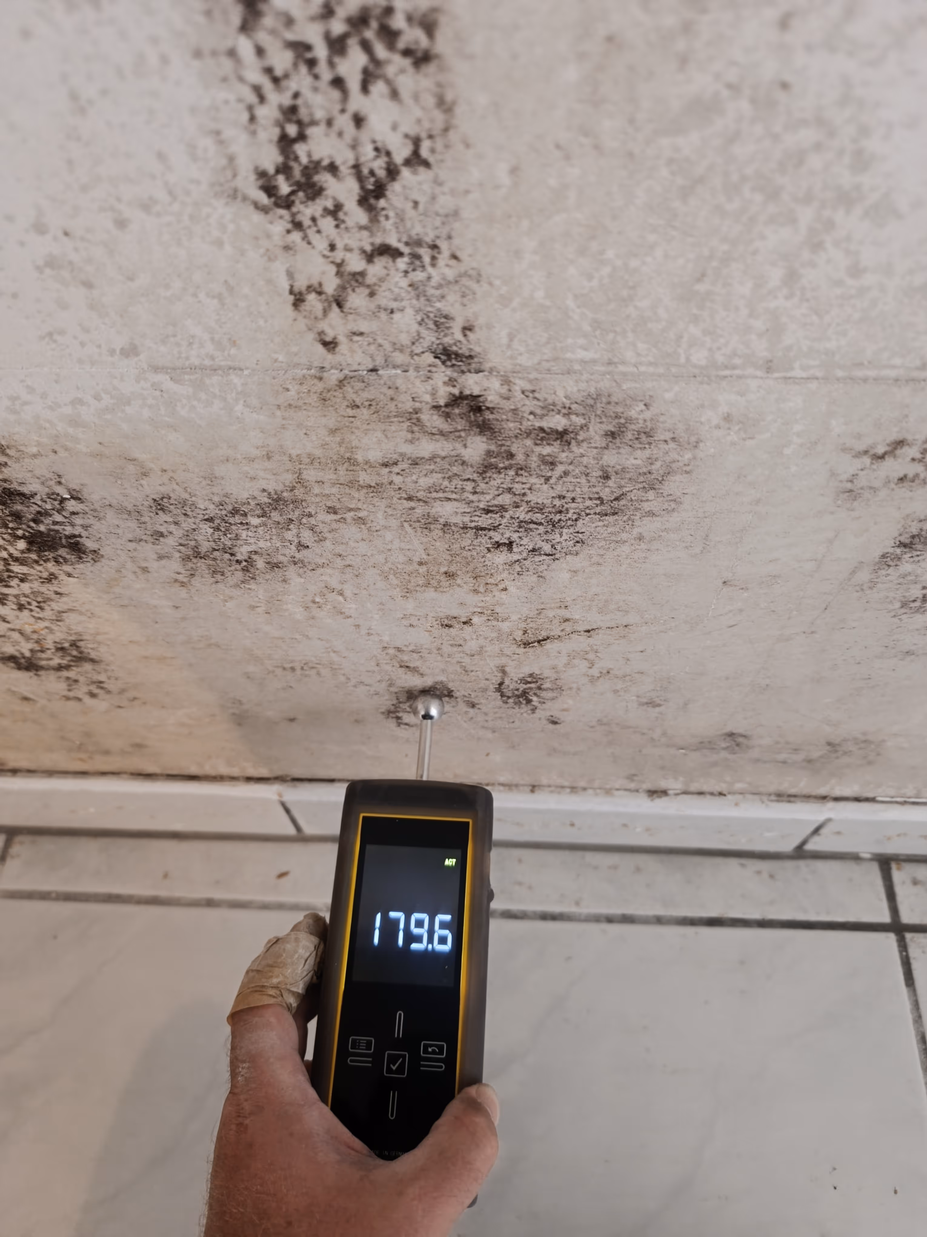 Feuchtemessung an Bauteilen zur technischen Bewertung von Schimmel- und Feuchteschäden